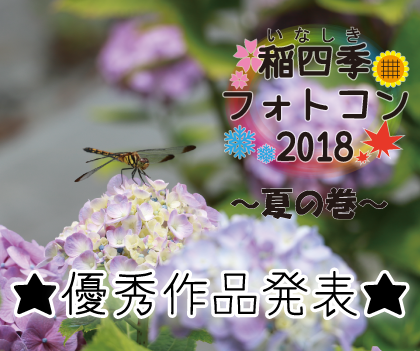 稲四季フォトコン 夏の巻 優秀作品発表 稲しき家族 稲敷市移住定住 公式ホームページ